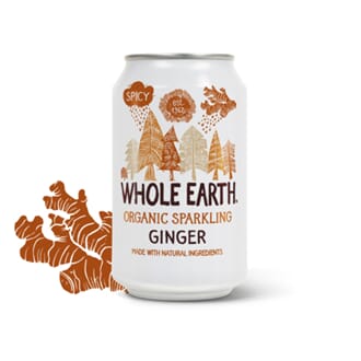 Whole earth ginger sparkling organic 330 ml
