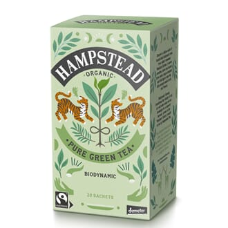 Hampstead Tea økologisk grønn te 20 poser