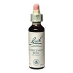 Bach remedy chestnut bud 20 ml