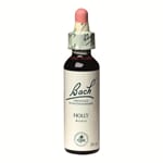 Bach remedy holly 20 ml