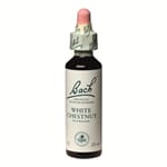 Bach remedy white chestnut 20 ml