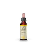 Bach remedy cerato 10 ml