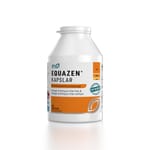 Equazen omega-3 & -6 420 kap