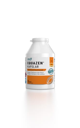 Equazen omega-3 & -6 420 kap