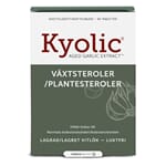 Kyolic aged garlic extract + plantesterol 60 kap