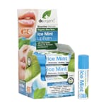 Dr. organic aloe vera ice mint lip balm 5,7 ml