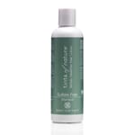 Tints of nature sulfate free shampoo 250 ml