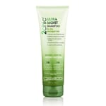 Giovanni  avocado & olive oil ultra moist shampoo 250 ml