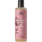 Urtekram Dare To Dream shampoo soft wild rose 250 ml