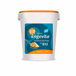 Marigold engevita yeast flakes 650 g