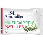 Amundsen sukkerfri pastiller eukalyptus 25 g