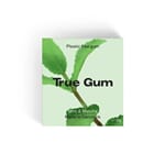 True Gum mint & matcha tyggegummi 20 g