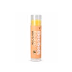 Lindroos Beesoft bisalve havtorn stift 5g