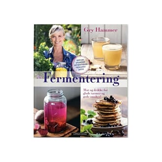 Gry Hammer bok - Fermentering