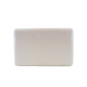 Kjøleboks med kjøleelement